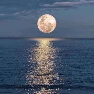 Meet your Posher, Flor